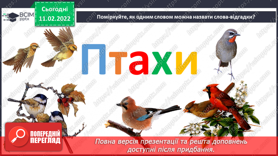 №23 - Основні поняття: анімація СМ: фото тварин і відповідних персонажів в анімації; м/ф «Курча в клітиночку»7