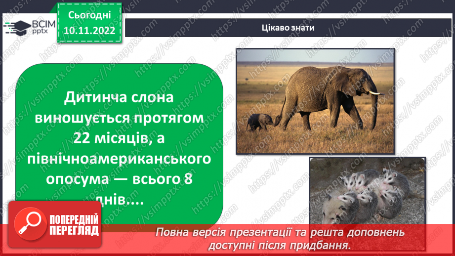 №037 - Як класифікують тварин. Властивості ссавців і птахів.22 №037 - Як класифікують тварин. Властивості ссавців і птахів.22