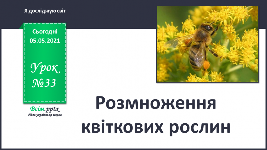 №033 - Розмноження квіткових рослин0