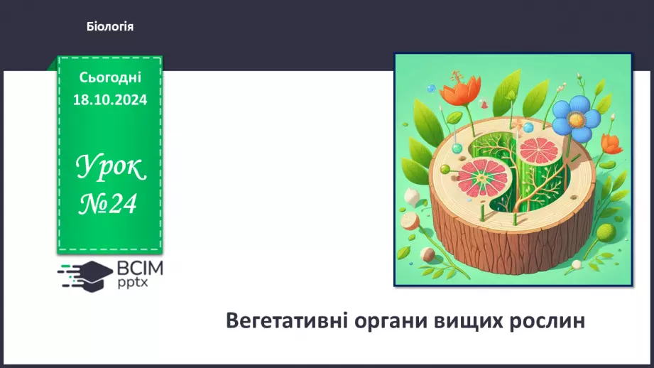 №25 - Вегетативні органи вищих рослин.0 №25 - Вегетативні органи вищих рослин.0
