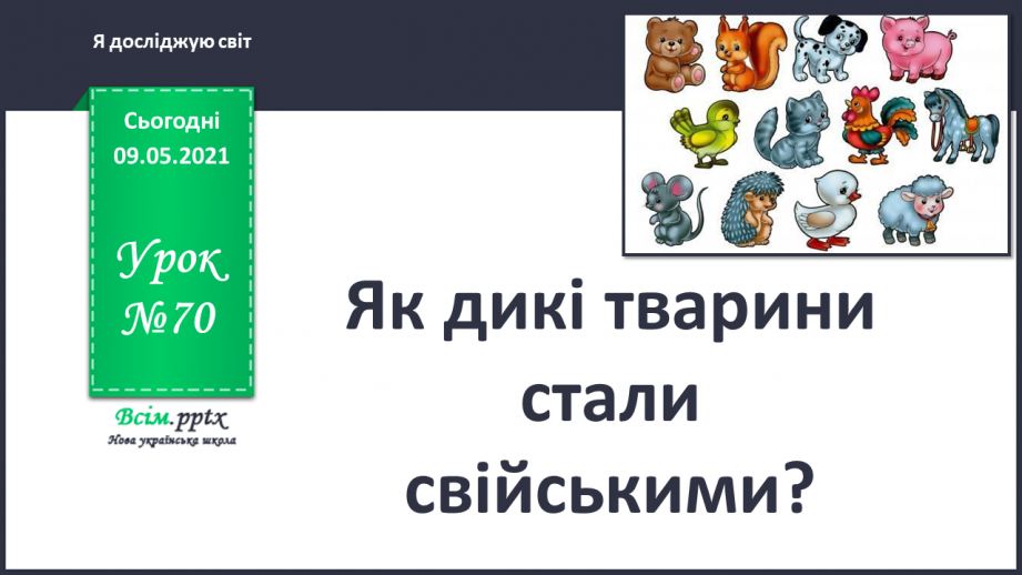 №070 - Як дикі тварини стали свійськими?0