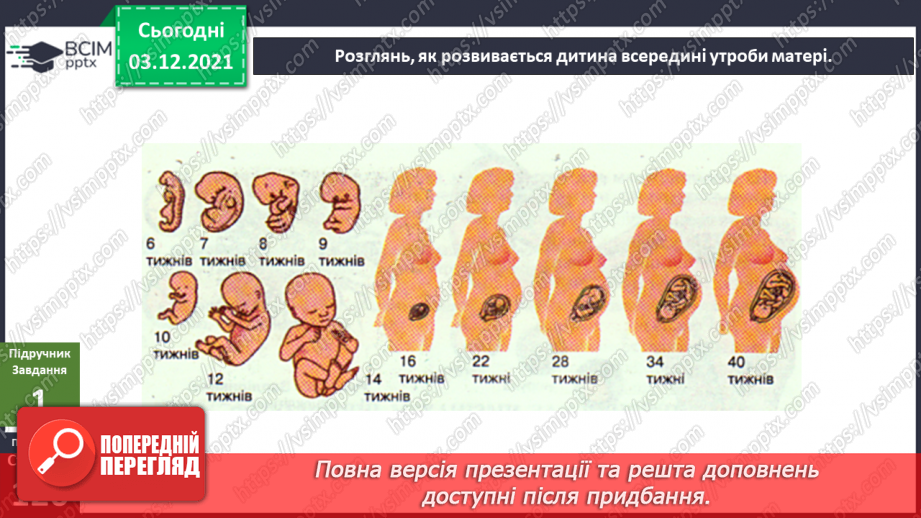 №044 - Як я з’явився / з'явилася на світ?7