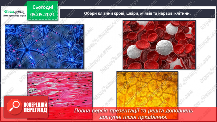 №088-90 - Проєкт «Пізнаю себе». Узагальнення і систематизація знань учнів. Діагностична робота. Тема: « Дбаю про своє здоров’я.»13 №088-90 - Проєкт «Пізнаю себе». Узагальнення і систематизація знань учнів. Діагностична робота. Тема: « Дбаю про своє здоров’я.»13