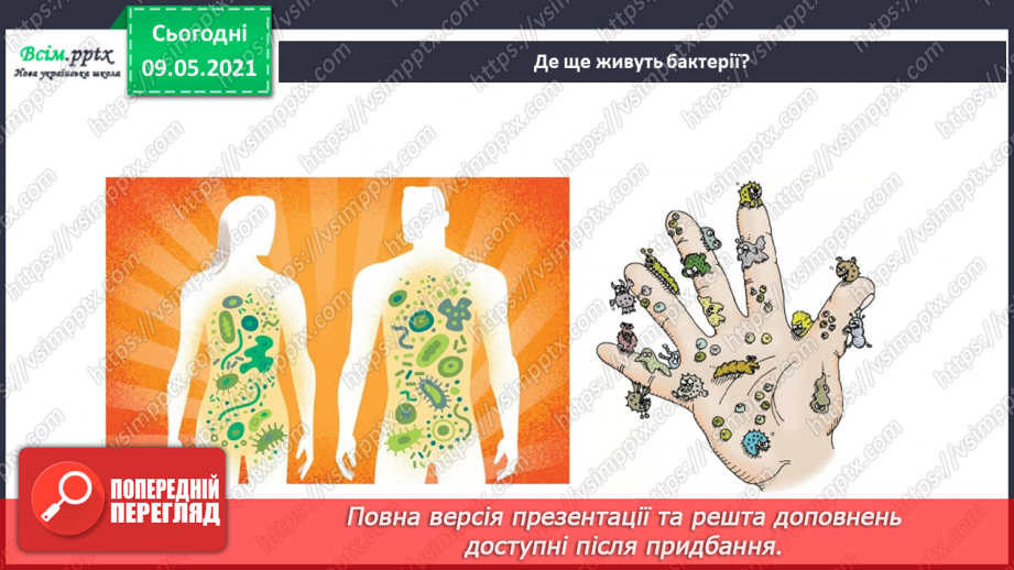 №080 - Хто такі мікроби й бактерії?13