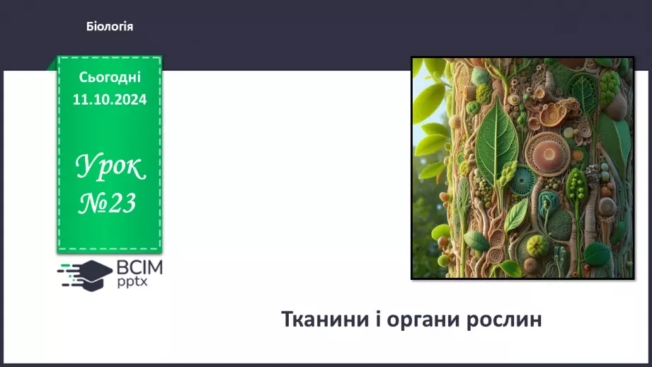 №23 - Тканини і органи рослин.0 №23 - Тканини і органи рослин.0