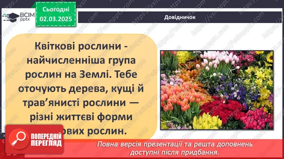 №074 - Різноманітність рослин. ст.59-615