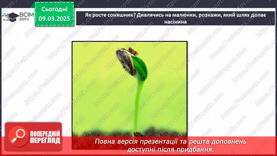№076 - Як росте і розвивається рослина з насінини. ст.67-6926