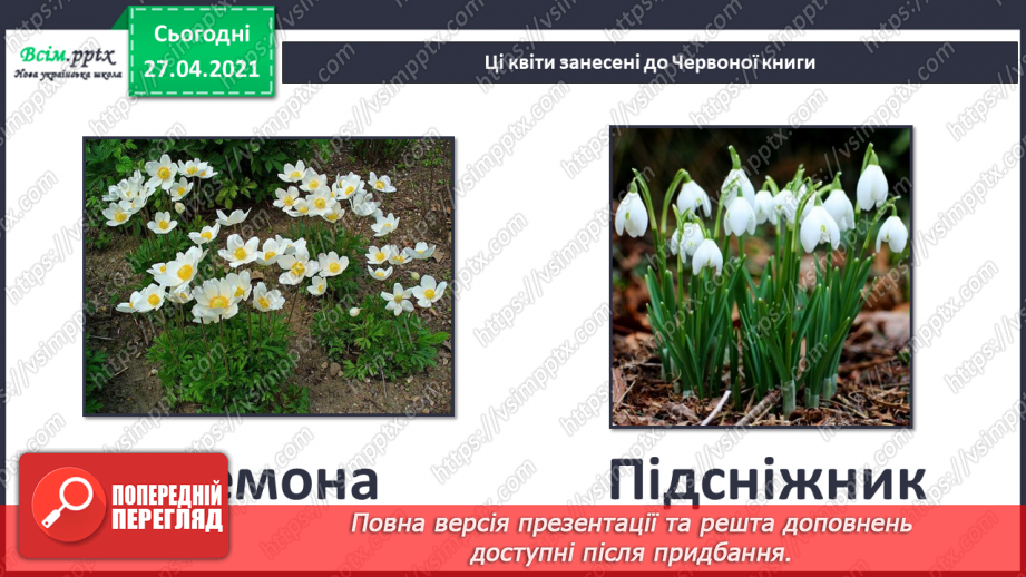 №075 - Як почуваються рослини навесні?9 №075 - Як почуваються рослини навесні?9