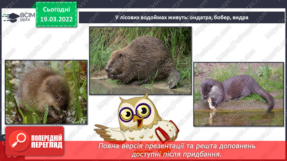 №078 - Природні зони України. Мішані та широколисті ліси.24 №078 - Природні зони України. Мішані та широколисті ліси.24