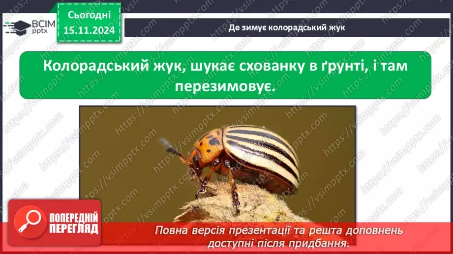 №0034 - Як осінні зміни впливають на комах12 №0034 - Як осінні зміни впливають на комах12