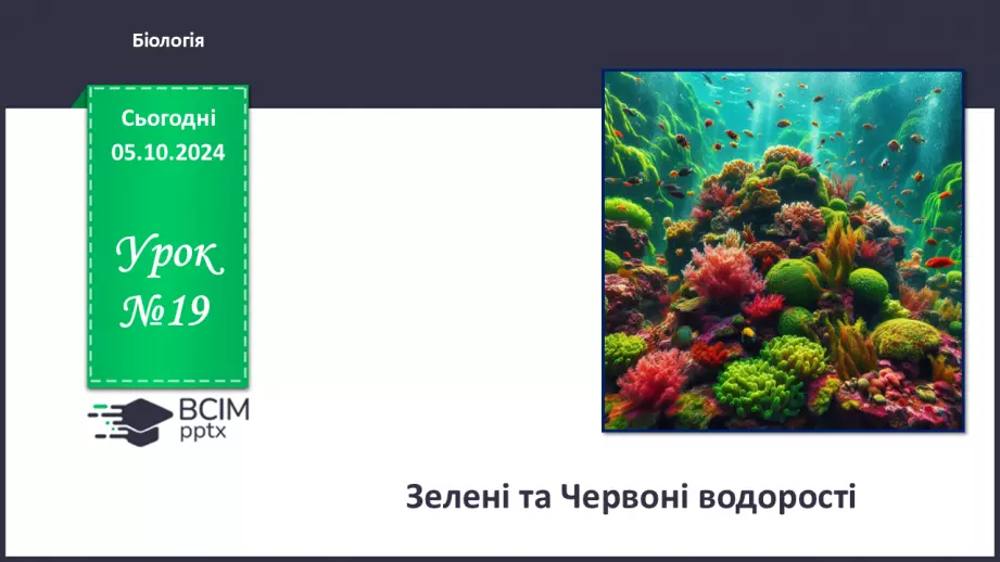 №19 - Зелені та Червоні водорості.0 №19 - Зелені та Червоні водорості.0