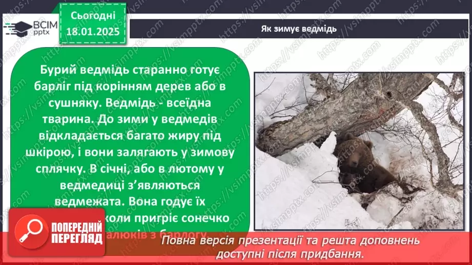 №0056 - Як зимують птахи та звірі12 №0056 - Як зимують птахи та звірі12