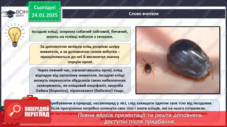 №58 - Павукоподібні.20