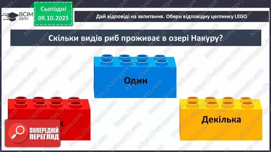 №023 - Мова суахілі. Озеро Накуру14 №023 - Мова суахілі. Озеро Накуру14