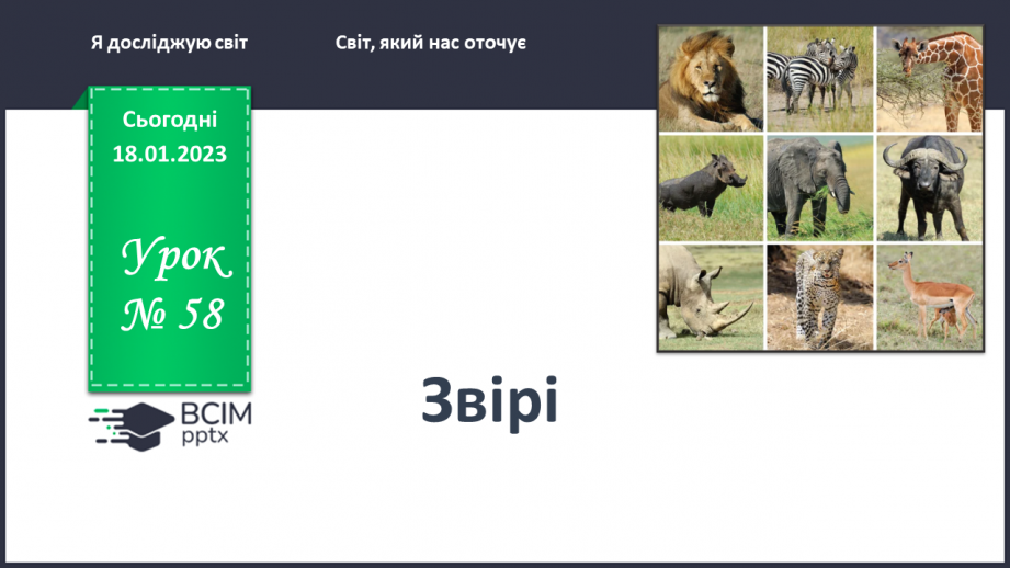 №0058 - Звірі0 №0058 - Звірі0