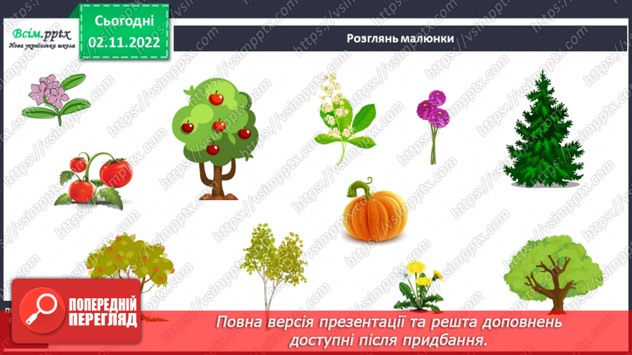 №0035 - Які бувають рослини? Де вони ростуть?6