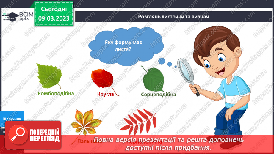 №081 - Чарівне листя рослин. Досліджуємо рослини.7