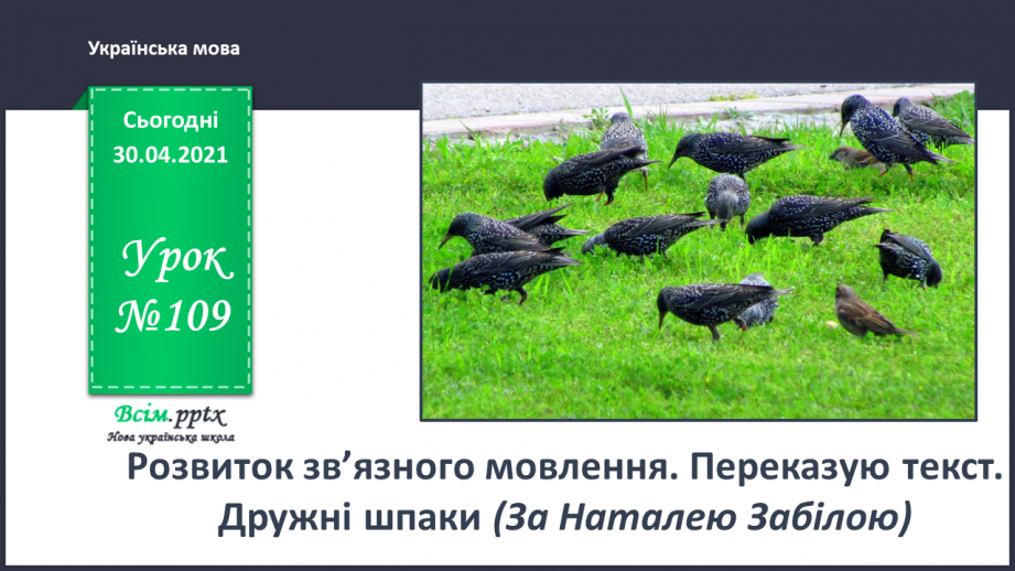 №109 - Розвиток зв’язного мовлення. Переказую текст. Дружні шпаки (За Наталею Забілою)0