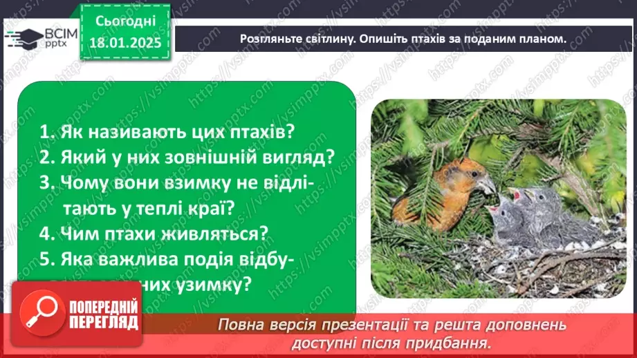 №0055 - Як зимують птахи та звірі17 №0055 - Як зимують птахи та звірі17