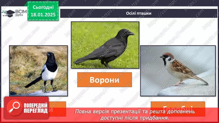 №0055 - Як зимують птахи та звірі4 №0055 - Як зимують птахи та звірі4