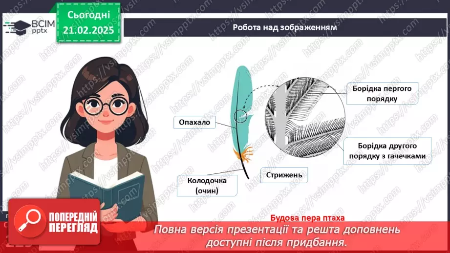 №64 - Птахи: риси пристосованості до польоту.13