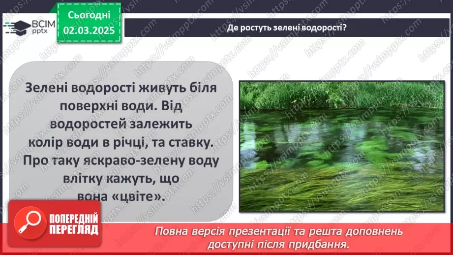 №074 - Різноманітність рослин. ст.59-6131