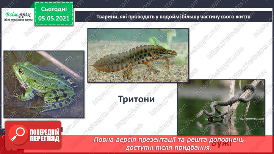 №052 - Природне угруповання — прісна водойма.26