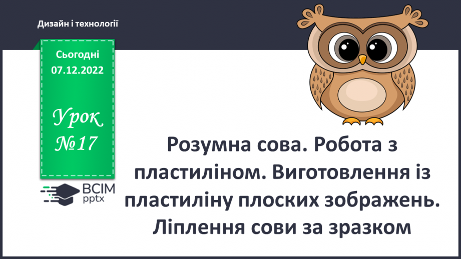 №17 - Розумна сова. Робота з пластиліном. Виготовлення із пластиліну плоских зображень. Ліплення сови за зразком.0