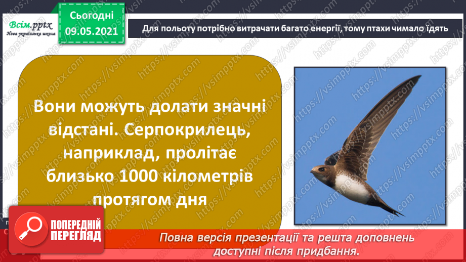 №066 - Як птахи опанували повітряний простір?13 №066 - Як птахи опанували повітряний простір?13