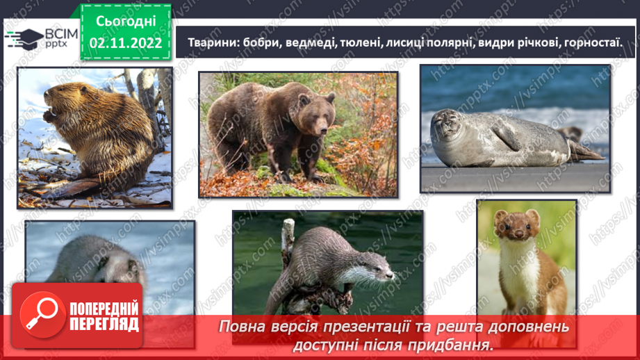 №035 - Тварини Європи.8