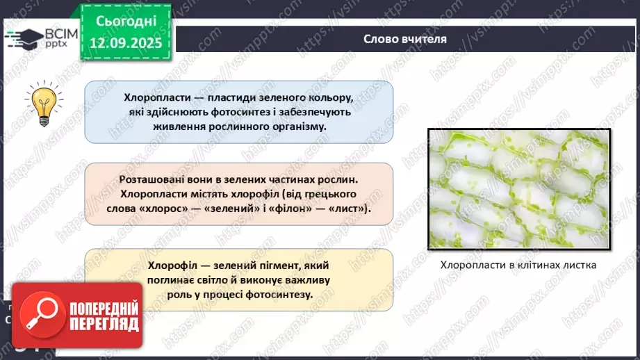 №011 - Особливості клітин рослин.14 №011 - Особливості клітин рослин.14