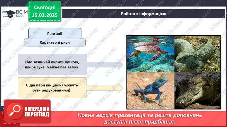 №61 - Амфібії та Рептилії.17