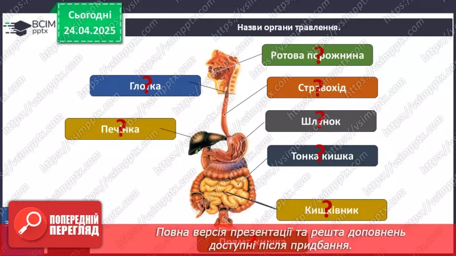 №096 - Травна система. Здорове харчування. ст.137-13921