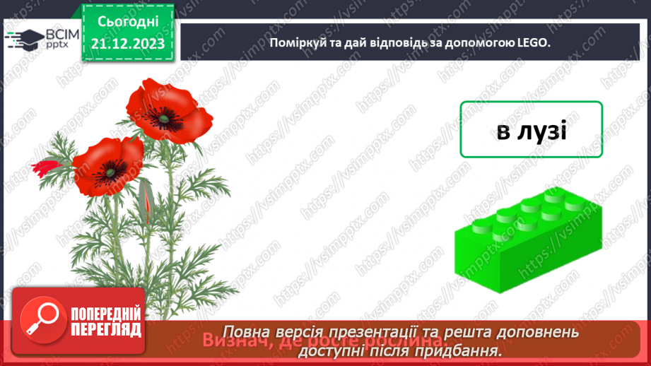 №049 - Чому рослини такі різні26 №049 - Чому рослини такі різні26