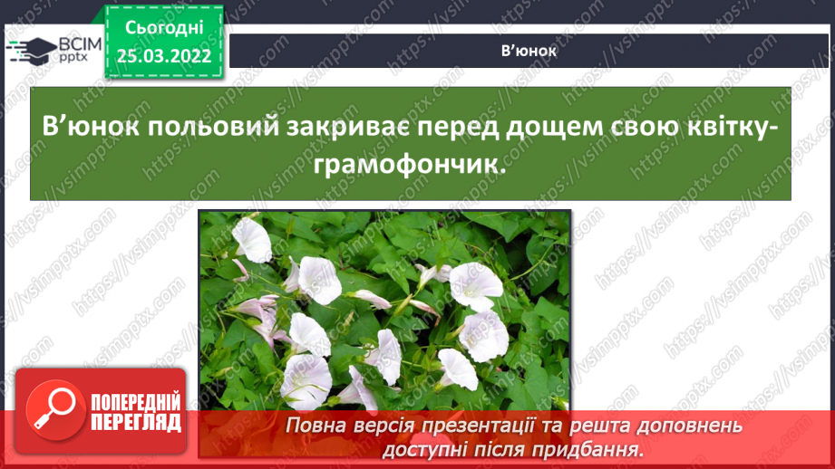 №079 - Які рослини і тварини «передбачають» погоду?13 №079 - Які рослини і тварини «передбачають» погоду?13