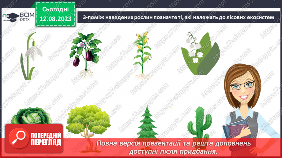 №38 - Ліс як екосистема. Структура лісу.10 №38 - Ліс як екосистема. Структура лісу.10