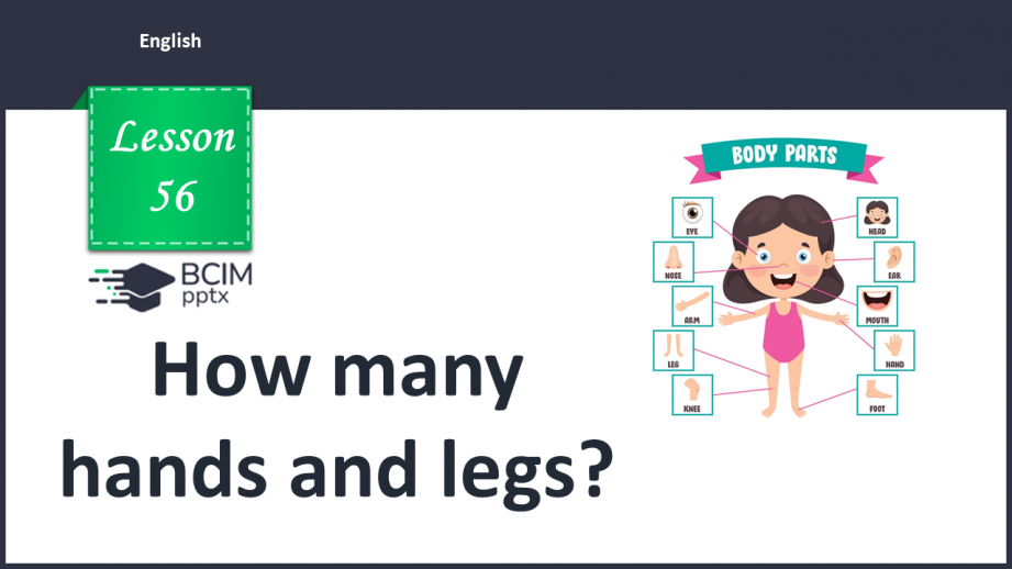 №056 - How many hands and legs?0 №056 - How many hands and legs?0