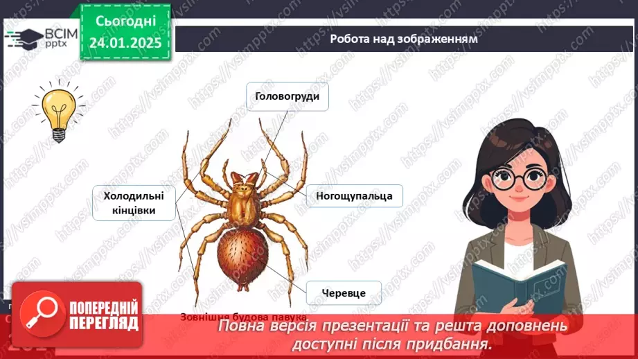 №58 - Павукоподібні.7