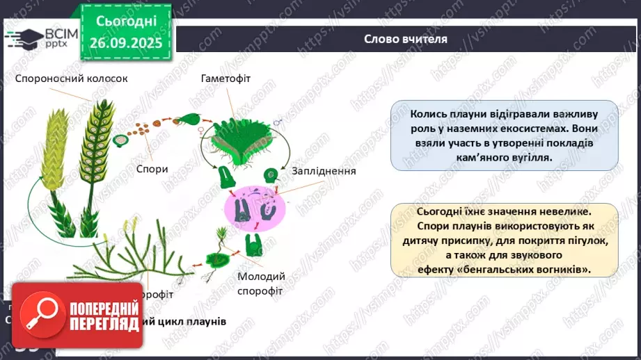 №017 - Вищі спорові рослини: мохи та плауни. Їхнє значення в екосистемах і використання28 №017 - Вищі спорові рослини: мохи та плауни. Їхнє значення в екосистемах і використання28