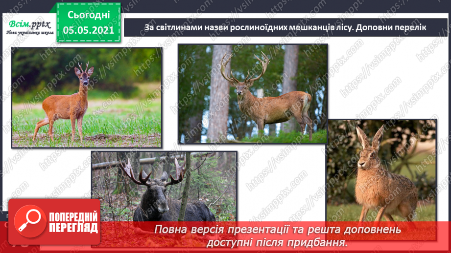 №050 - Природні угруповання. Природне угруповання — ліс.19