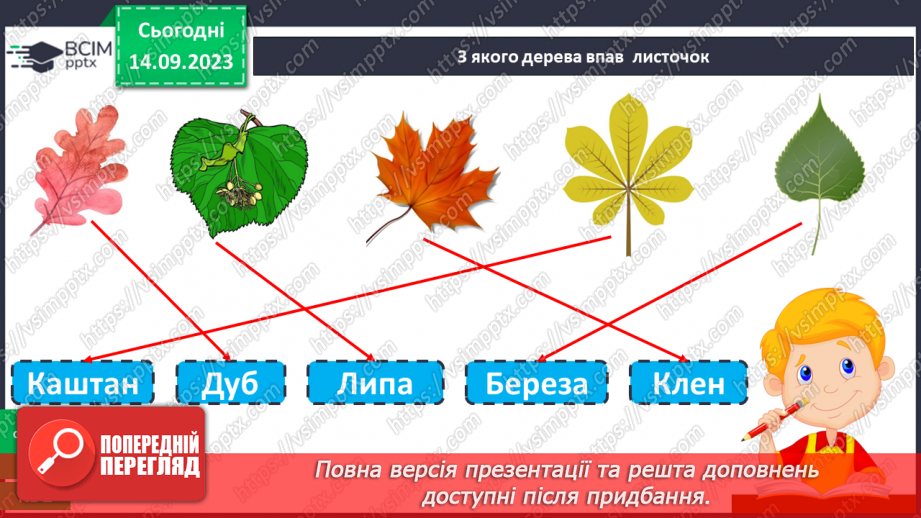 №010 - Рослини восени. Спостереження за особливостями сезонних змін у природі.24