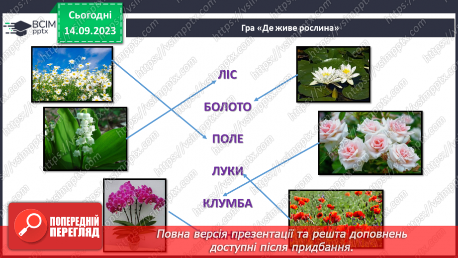 №011 - Що росте на підвіконні. Конструювання з природного матеріалу12