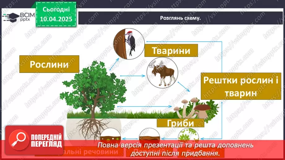 №089 - Ліс. ст.114-11612