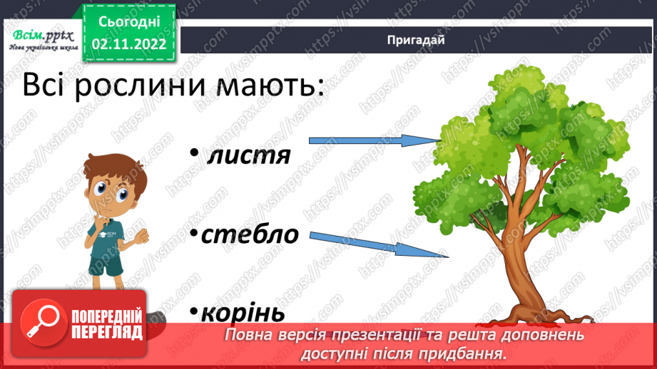 №0035 - Які бувають рослини? Де вони ростуть?7