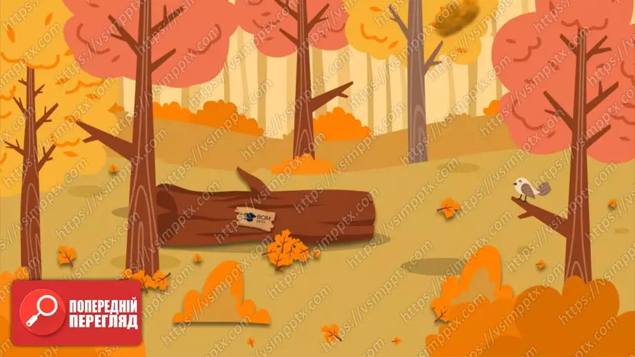 №0024 - Які тіла нас оточують і з чого вони складаються.19 №0024 - Які тіла нас оточують і з чого вони складаються.19