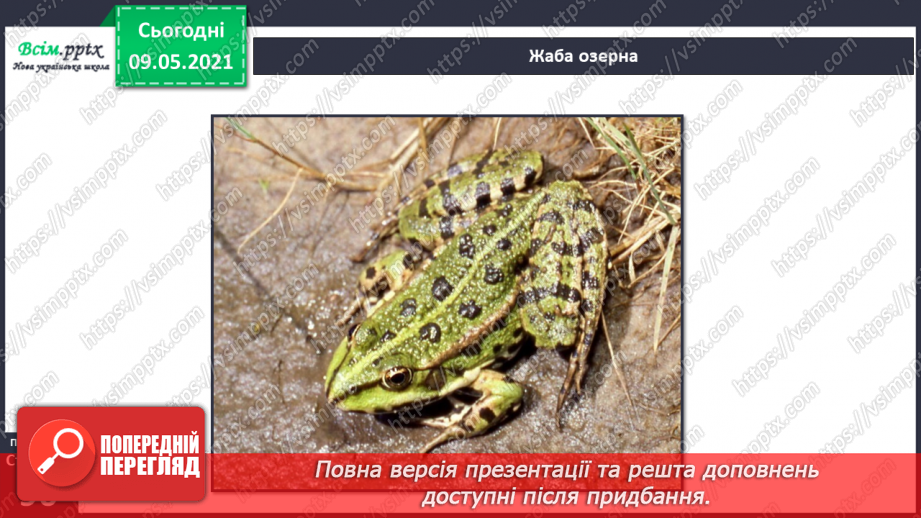 №064 - Чому земноводні мають таку назву?12 №064 - Чому земноводні мають таку назву?12