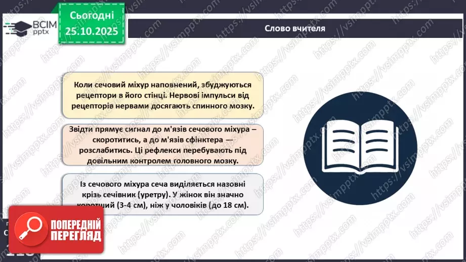 №029 - Будова й функції сечовидільної системи людини. Сечоутворення.21 №029 - Будова й функції сечовидільної системи людини. Сечоутворення.21