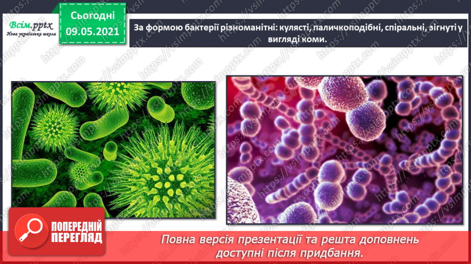 №080 - Хто такі мікроби й бактерії?14