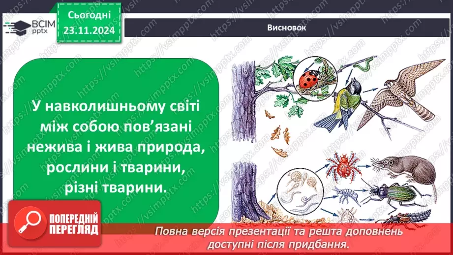 №0038 - Які невидимі ланцюги є в осінньому лісі23 №0038 - Які невидимі ланцюги є в осінньому лісі23