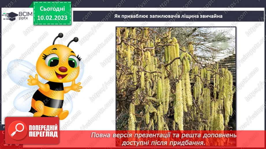 №45 - Пристосування до життя та різноманітність рослин. Секрети насінини.11